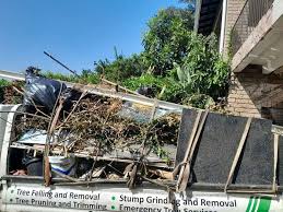  Wilkesboro, NC Junk Removal Pros